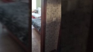 1000008636.mp4