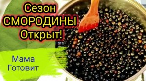 СМОРОДИНА! Как Мама готовит Желе из Черной Смородины за 20 минут. Простой рецепт!