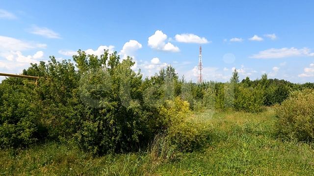 Project 519 смотреть онлайн