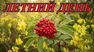 Ещё один летний день