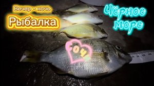 Прекрасный Сочи. Рыбалка с волнореза в Черном море летом #fishing #рыбалка #sochi #рыба #сочи #море