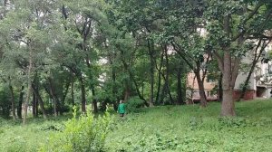 Сергей Милейко - В памяти кружится...
