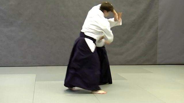 Ushiro ryote dori iriminage | Справочник техник айкидо | Aikido techniques reference смотреть онлайн