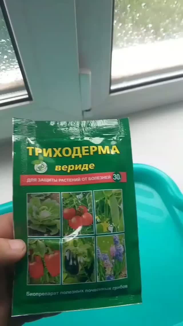 Наш сад и огород
