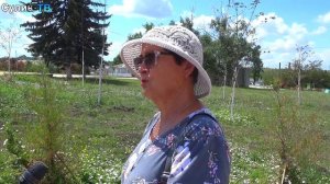Цены на взлёт? Что думают люди о бензиновом кризисе