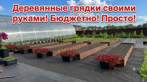 Деревянные грядки своими руками! Бюджетно!