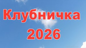 Клубничка 2026