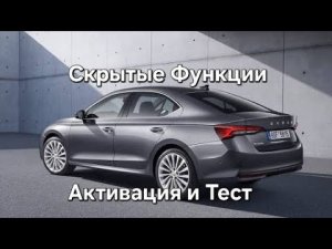 Skoda: Активация и Тест Скрытых Функций в 2025 году 😉👍