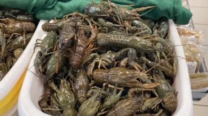 ✅ Обзор цен на рыбу и другие продукты 💰Что приготовила ☀️