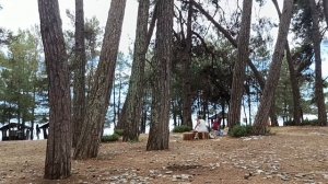 Прогулка в парке Абхазия Пицунда Лдзаа