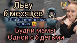 Будни с 6детьми,😝Льву пол года 🎉🎉🎉
