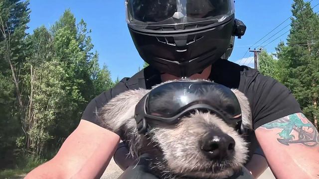 прочее времяпрепровождение