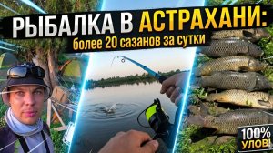 Более 20 САЗАНОВ за СУТКИ. Рыбалка в АСТРАХАНИ на сазана июль 2026 года. Отдых дикарем.