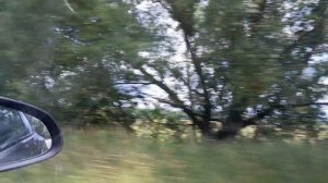 Басик приехал в деревню.