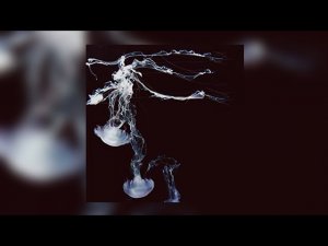 .OTRIX - Локальная зима 2.0