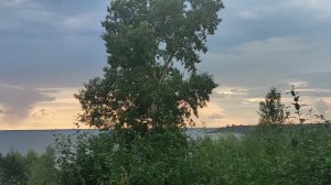 На холме: построение теории или что происходит с Академгородком Новосибирска. Кому отдали земли? 🤔