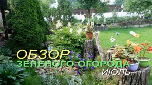 🌺Обзор ЗЕЛЕНОГО ОГОРОДА июль 2026!