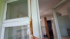 Липкая лента от мух. Как использовать.
