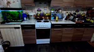 КЛАССНОЕ БЛЮДО С РЯБЧИКОМ.