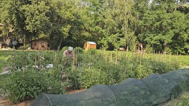 Возвращение хищника ЖАРА СЛОМАННАЯ ПОИЛКА ВОЗВРАЩЕНИЕ ХИЩНИКА И ПЕРВЫЕ ПОТЕРИ смотреть онлайн