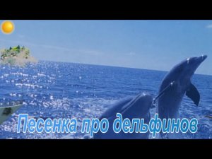 Дельфины
