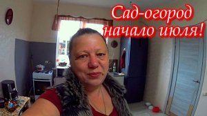 Простая жизнь в деревне. Влог. Заготовки. По дороге в магазин.
