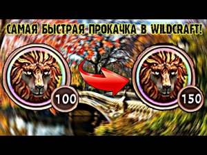 🐾WildCraft || 🌺Самый лучший способ прокачки! || 🔥Как прокачаться до 150 лвл за 2 дня?🔥