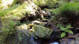 1 час расслабляющих звуков природы  - Релакс звуков воды - Медитация под звук родника. (97)