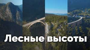 Лесные высоты | С любовью к русской природе