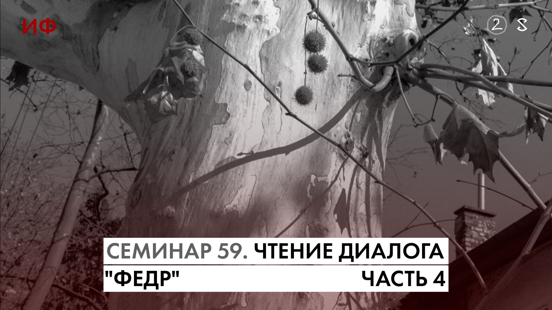 59. Четвёртое чтение диалога Платона "Федр". История Философии. Часть 2