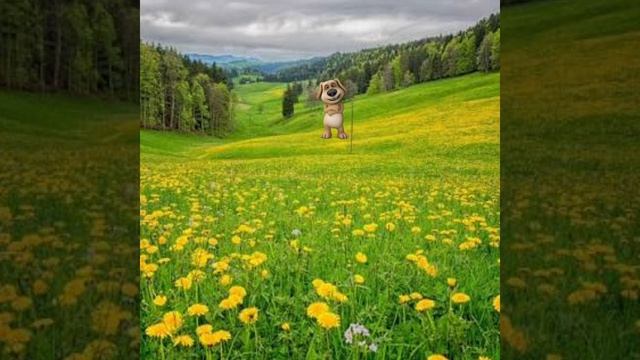 новая фаза для плб лунного шаблона и Аксо шаблона
