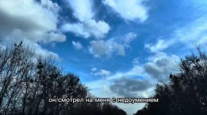 —Ах ты дрянь!Ты что там промямлила?Думаешь, раз пузатая,так мой сынок тебя не вышвернет?