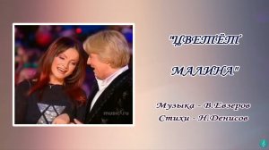 София Ротару и Николай Басков «Цветёт малина» (2004)