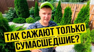 В этот раз мы не будем молчать! Показываем, как посадили 16 деревьев за раз!