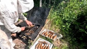 Копчу окуней. Жизнь в деревне бьёт ключом.