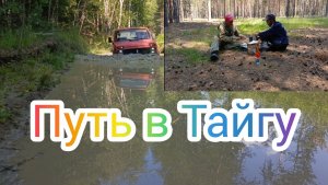 Путь в Тайгу