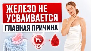 Не БАДы, а первопричины! Прямой эфир про гемоглобин и ферритин