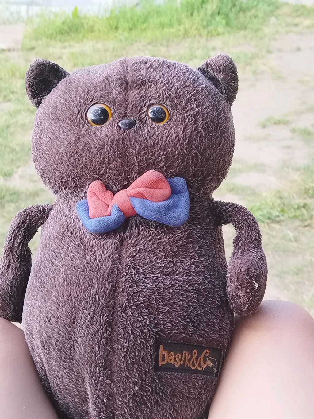 басик смотреть онлайн