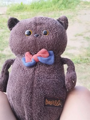 басик