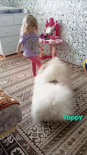 Мира