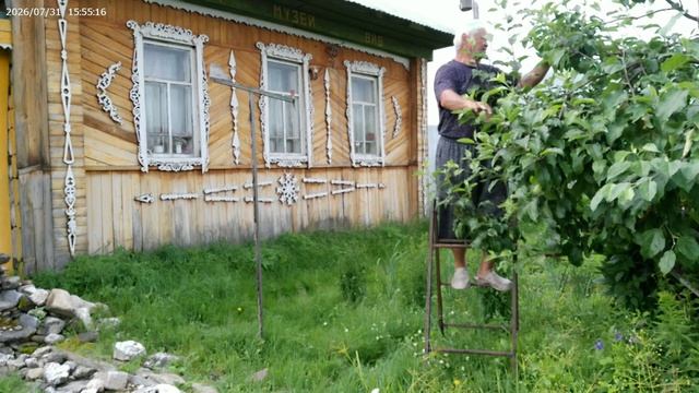 Сам с усам