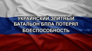 Украинский элитный батальон БПЛА потерял боеспособность