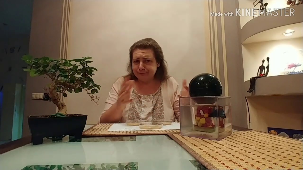Пылесос Xiaomi JIMMY. Убивает ли он микробы? Результаты теста. День 1,2,3. смотреть онлайн