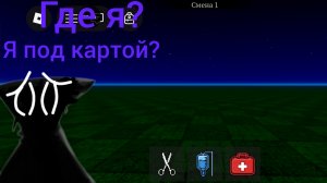 Прошёл за карту в больнице для животных!