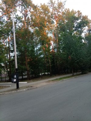 клетка