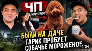 САМВЕЛ АДАМЯН, ЧП С МАРСЕЛЕМ, ПРОВЕДАЛИ ДАЧУ, ПРОБУЮ МОРОЖЕНОЕ ДЛЯ СОБАК..