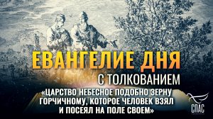 «Царство Небесное подобно зерну горчичному, которое человек взял и посеял на поле своем» / Евангелие