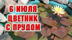 6 июля. Большой цветник с прудом.