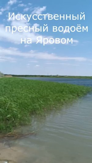 Пресный водоем на Яровом