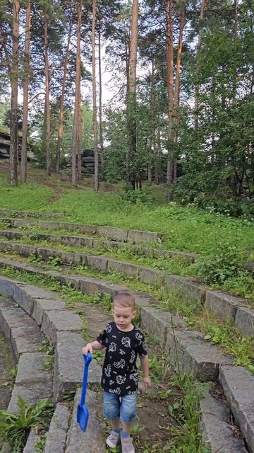 #лес#парк#дом